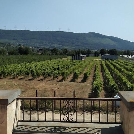 Agriturismo Il Casale Del Cavaliere SantʼAgata deʼ Goti Buitenkant foto