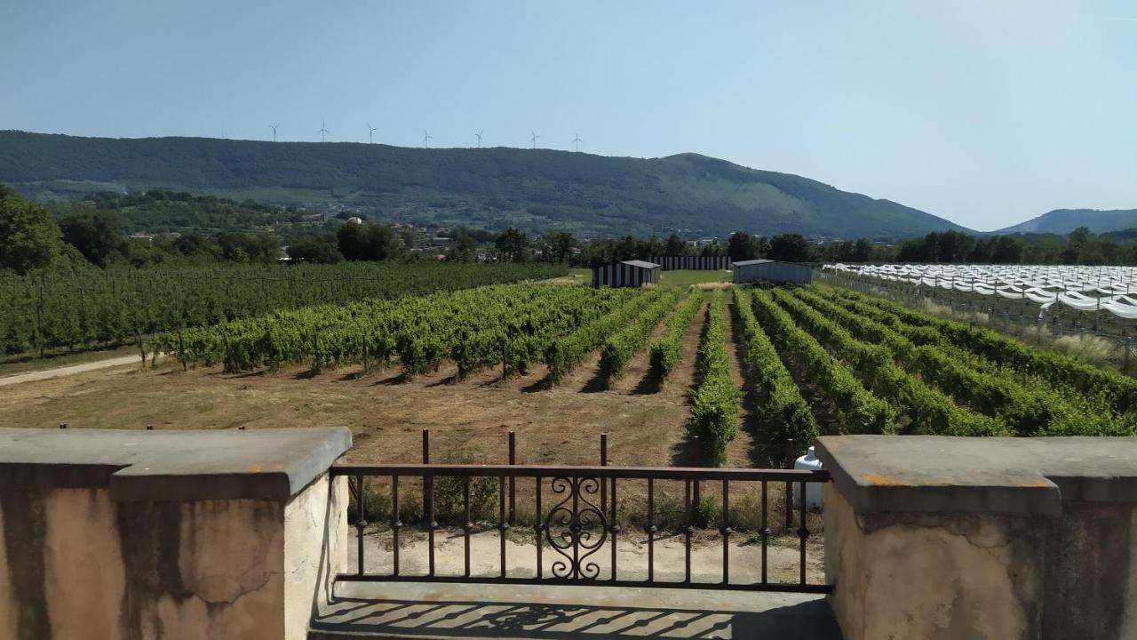 Agriturismo Il Casale Del Cavaliere SantʼAgata deʼ Goti Buitenkant foto