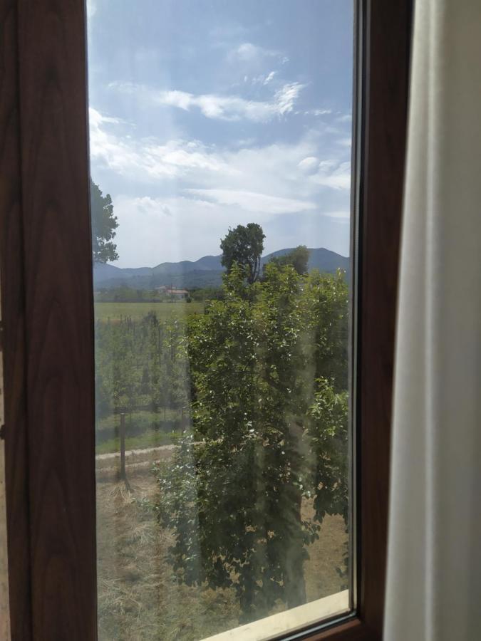 Agriturismo Il Casale Del Cavaliere SantʼAgata deʼ Goti Buitenkant foto